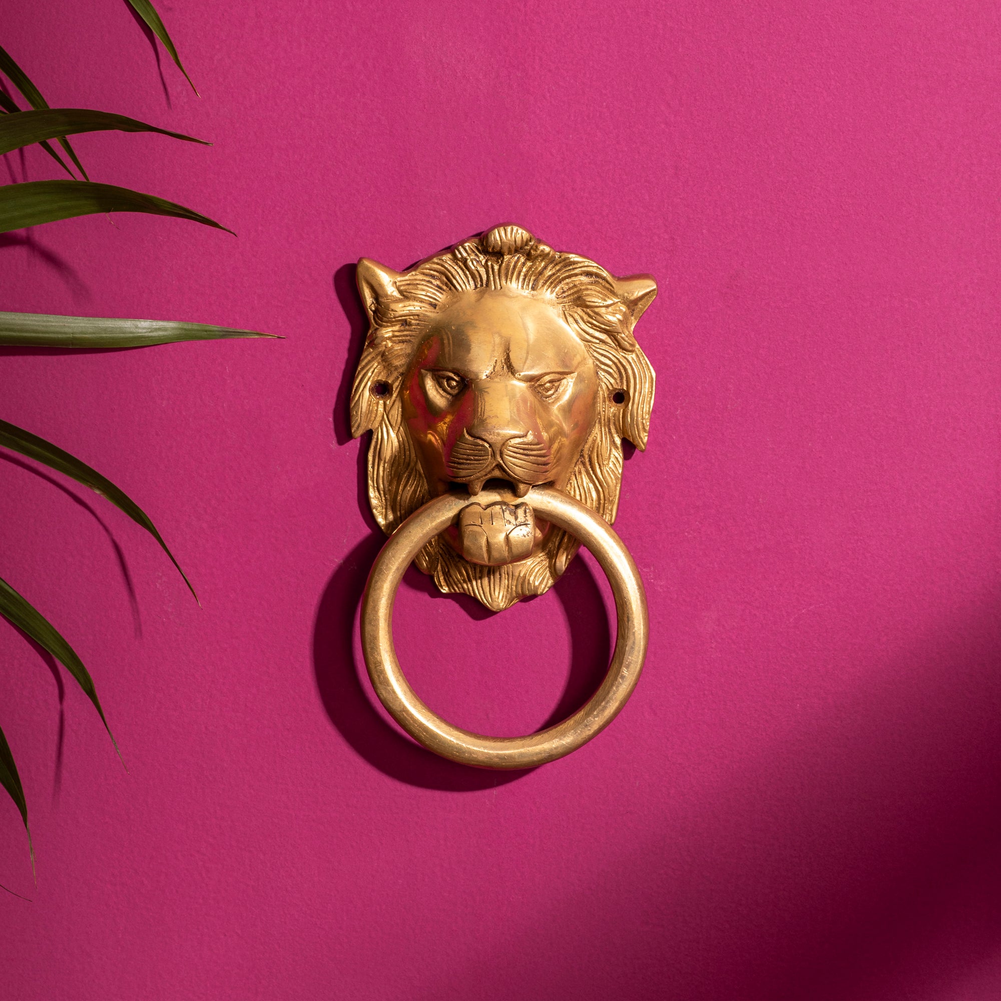 Brass Lion face Door Knocker - 7 Inch