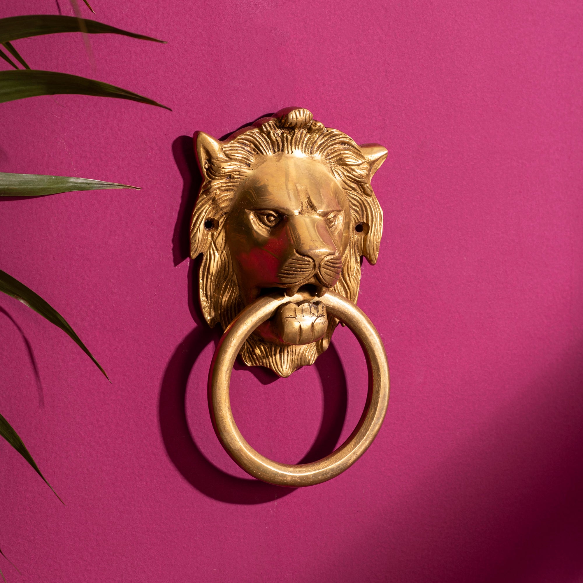 Brass Lion face Door Knocker - 7 Inch