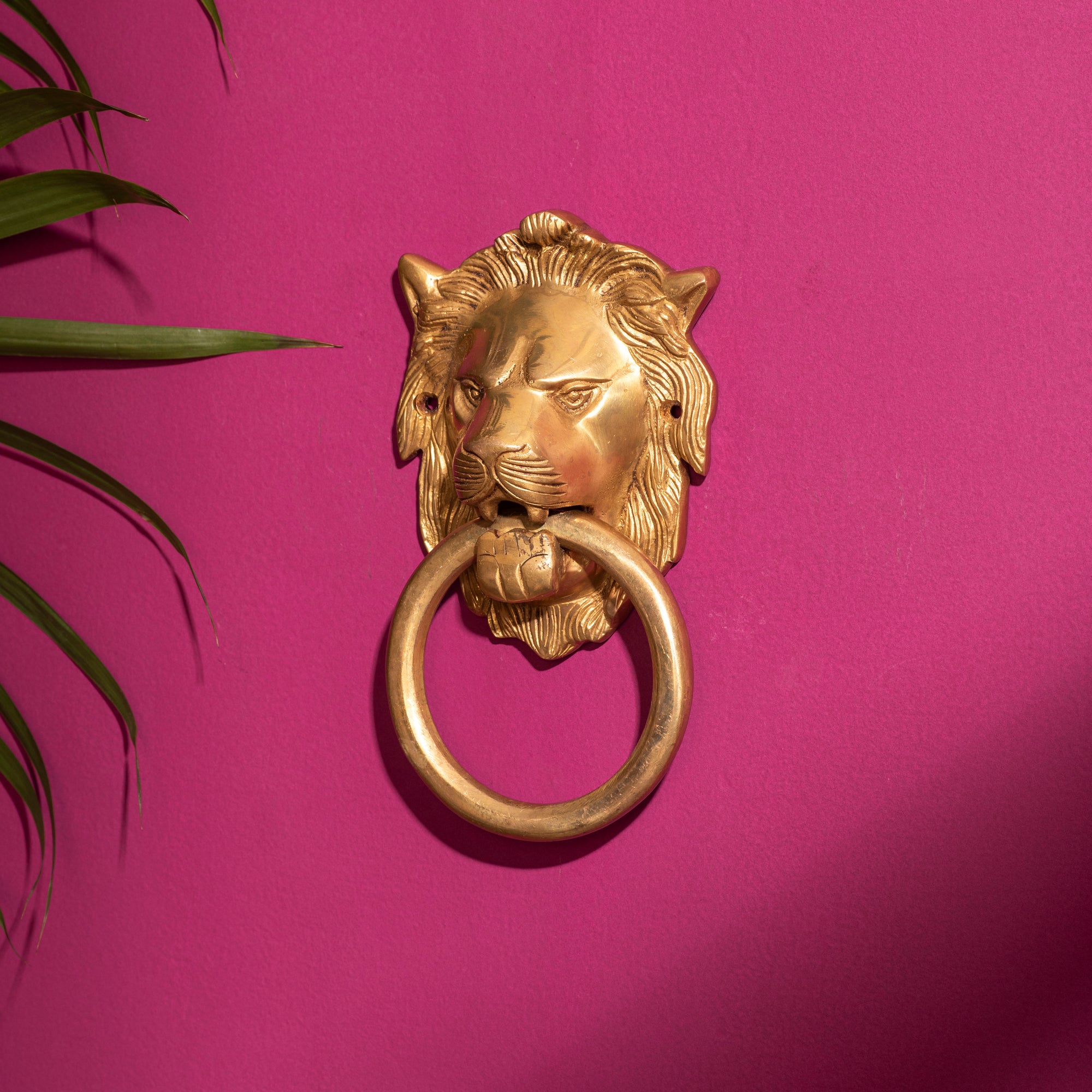 Brass Lion face Door Knocker - 7 Inch